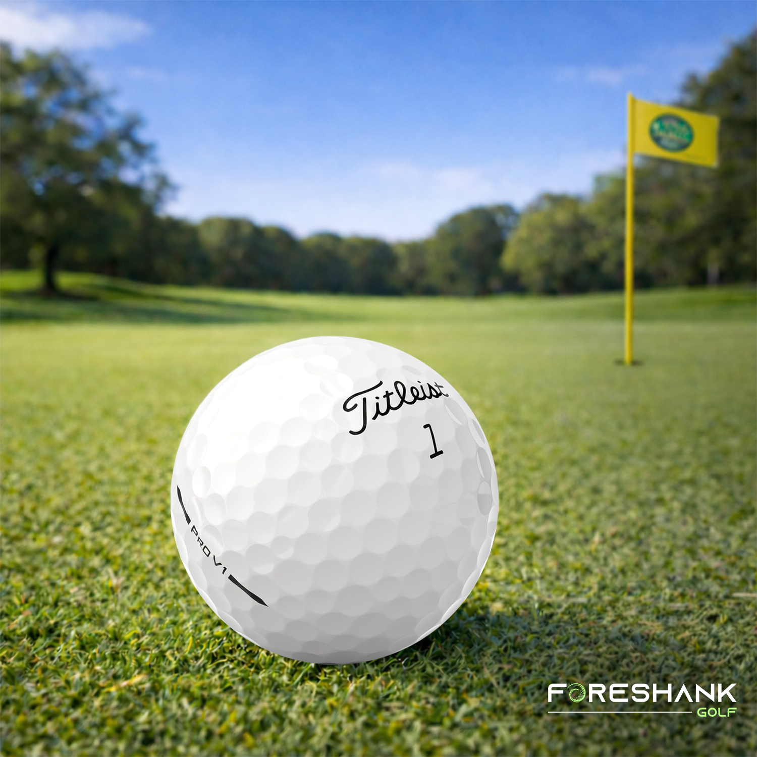 titleist-pro-v1-used-golf-balls – Foreshank