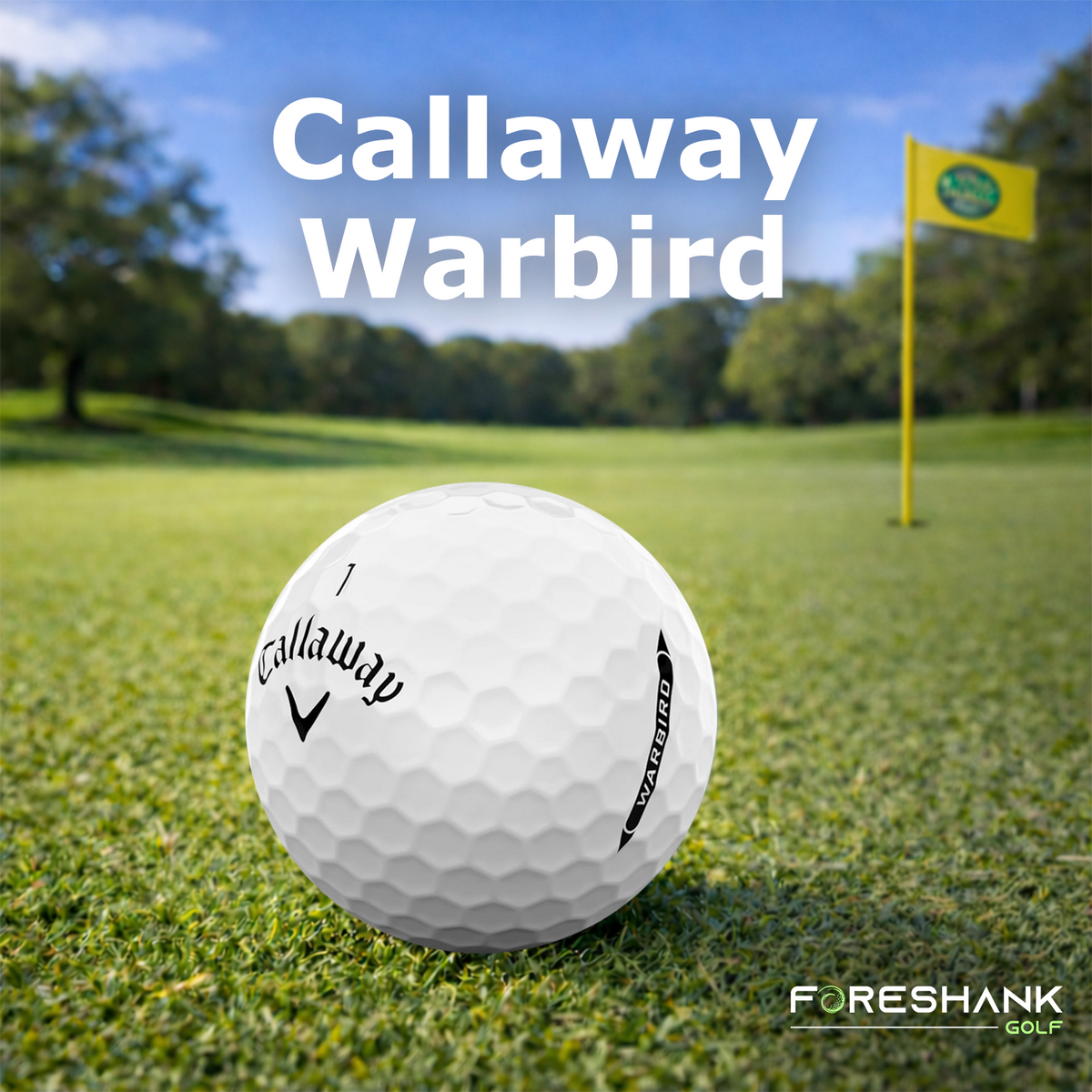 Callaway Warbird – Used Golf Balls