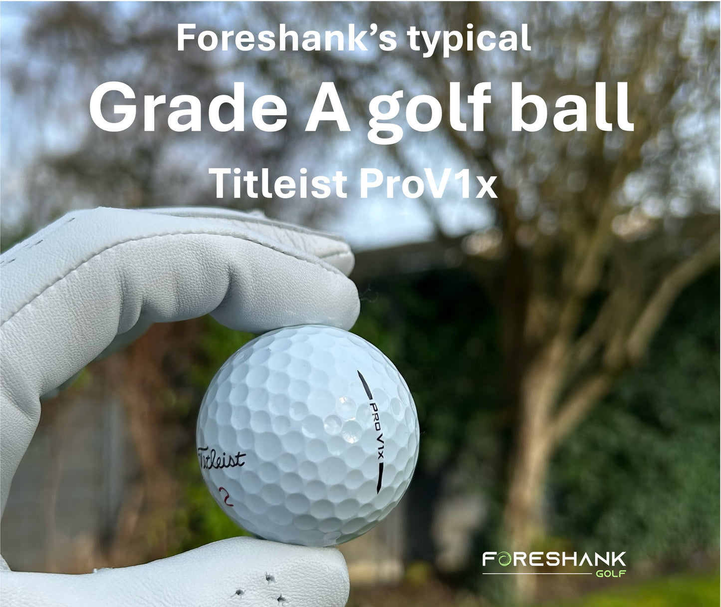 Titleist ProV1x – Used Golf Balls
