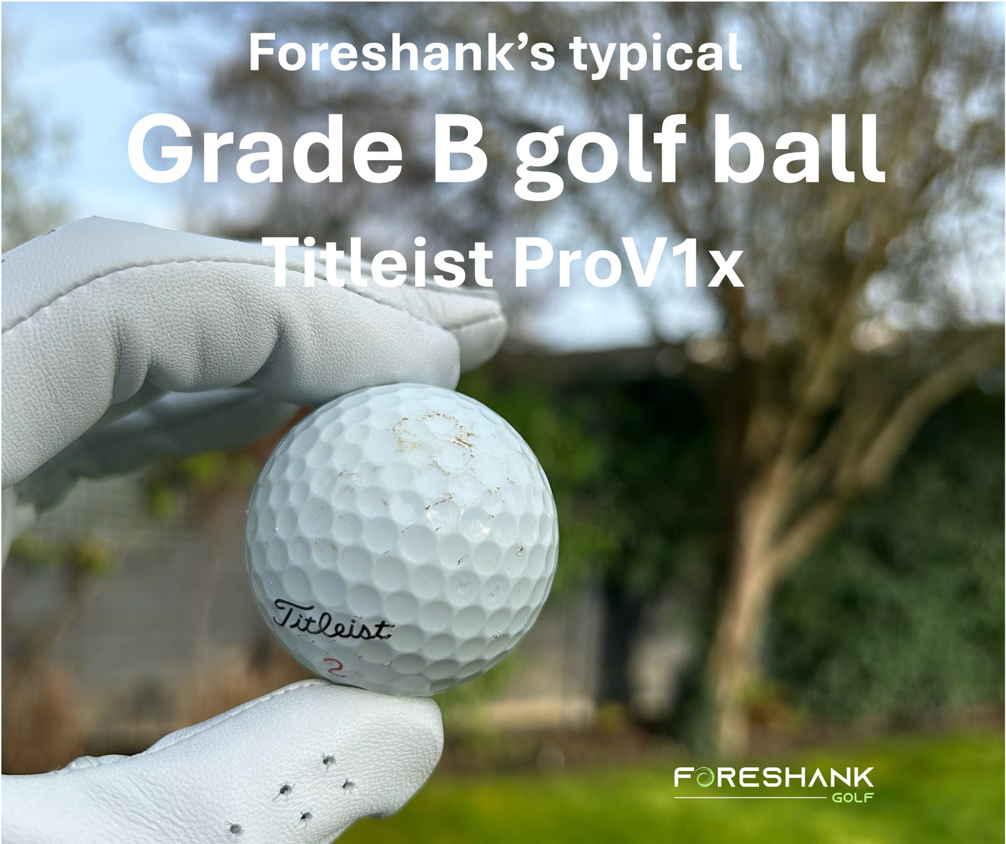 Titleist ProV1x – Used Golf Balls
