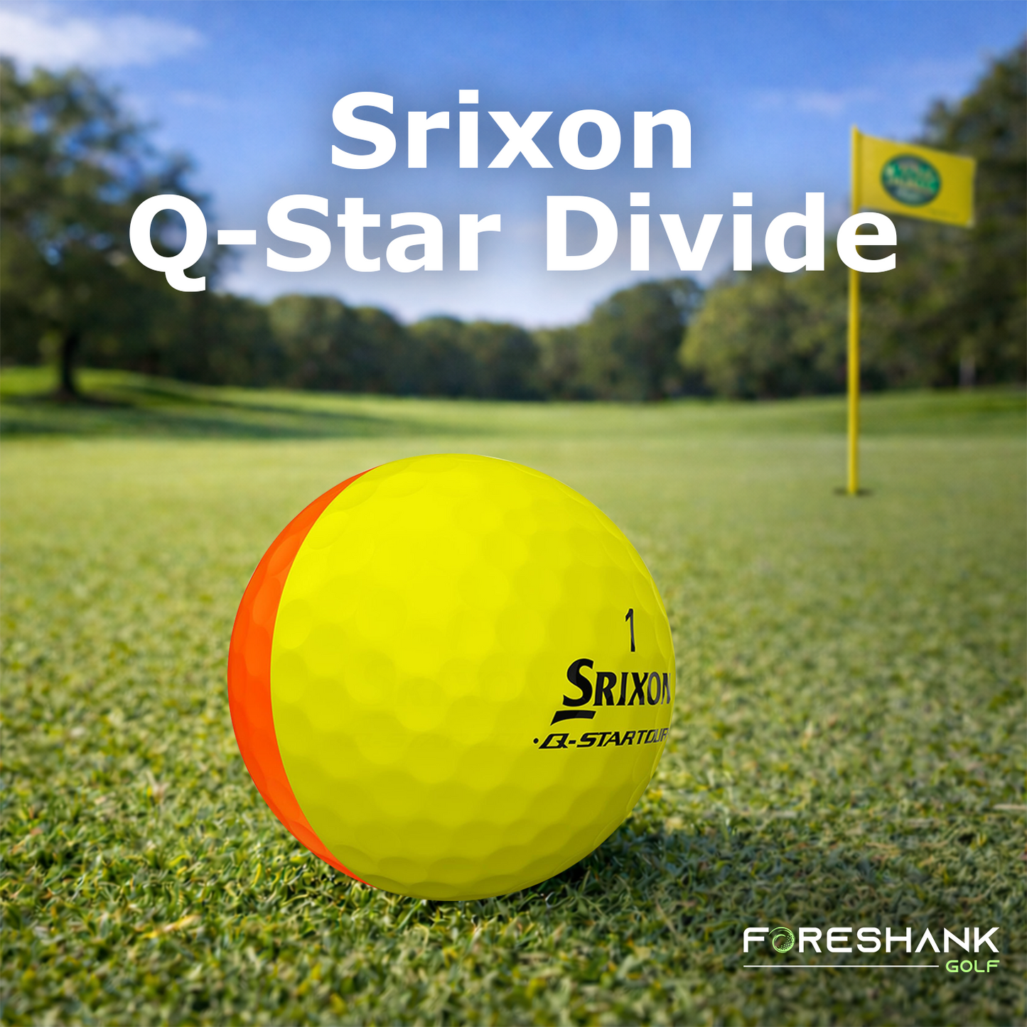 Srixon Q-Star Tour Divide – Used Golf Balls