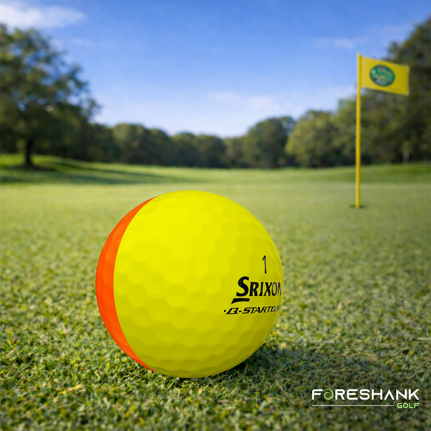 Srixon Q-Star Tour Divide – Used Golf Balls
